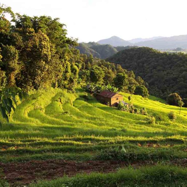 Himalayan Agroecology Initiative: Pioneering Sustainable Food Systems in the Himalayas