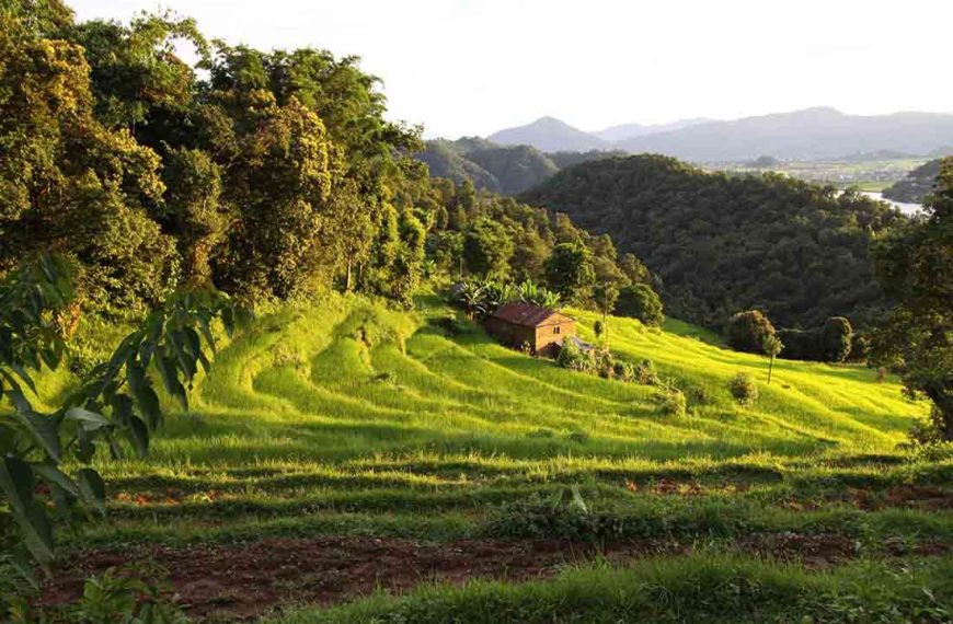 Himalayan Agroecology Initiative: Pioneering Sustainable Food Systems in the Himalayas