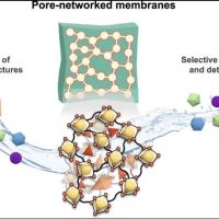 membranes