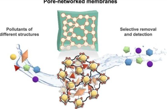 membranes