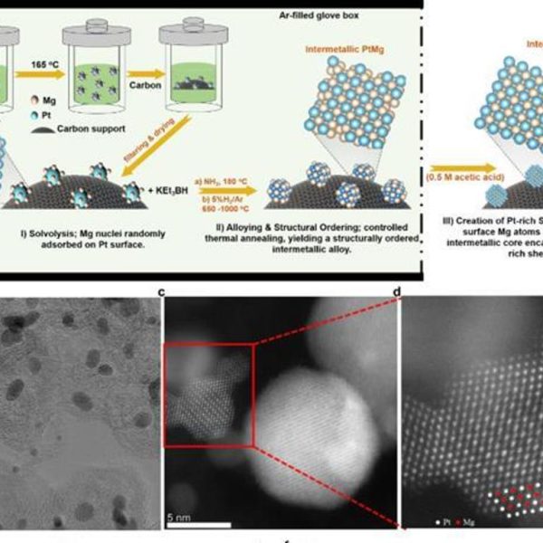 New fuel cell catalyst enhances longevity and reduces cost for Fuel Cell Electric Vehicles (FCEVs)