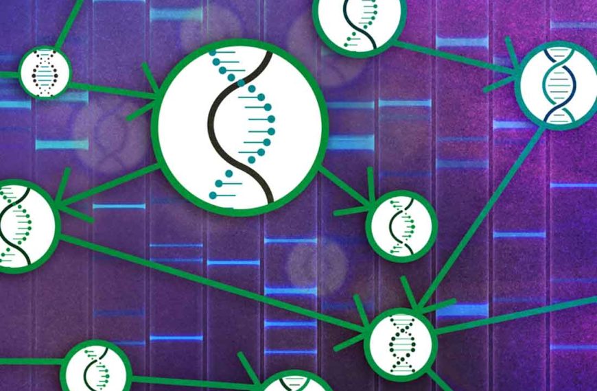 A causal theory for studying the cause-and-effect relationships of genes