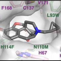 smallmolecule