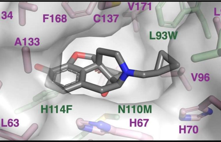 smallmolecule