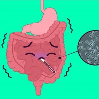 Clostridium perfringens