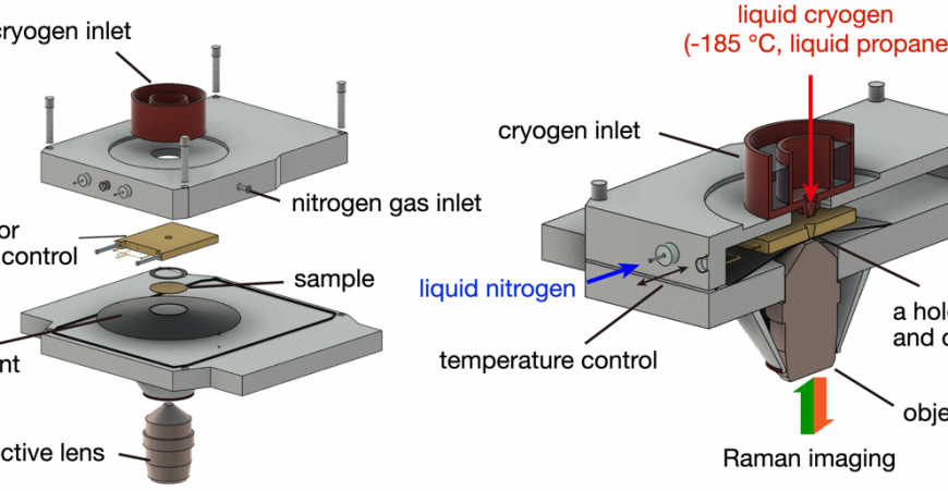 Enhanced Raman microscopy of cryofixed specimens: clearer and sharper chemical imaging