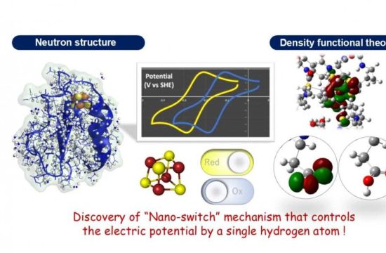 nano switch machanism