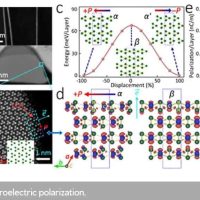 polar structure