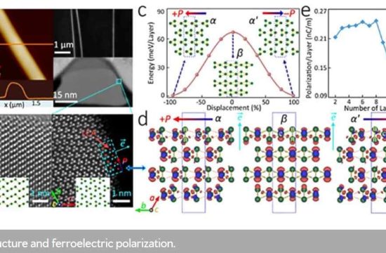 polar structure