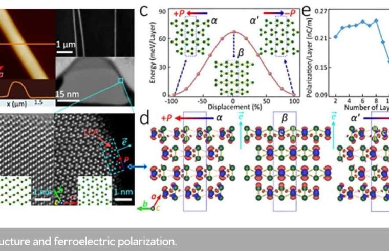 polar structure