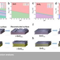 surface reconstruction analyses