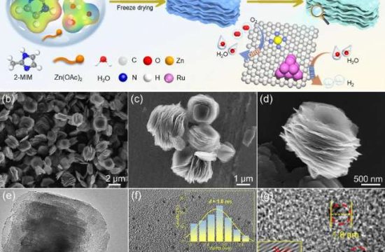 hydrogen catalyst