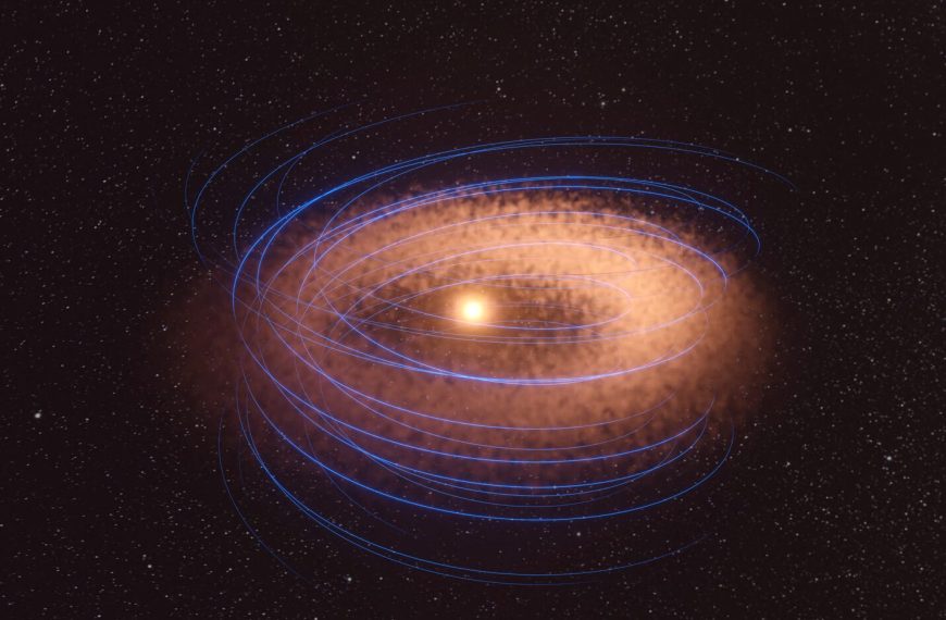 ALMA observes a magnetic field…