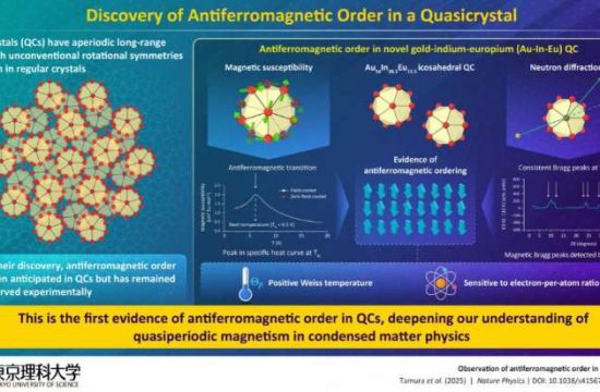 antiferomagnatic order in qc